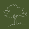 cropped-Logobaum_Web-.png